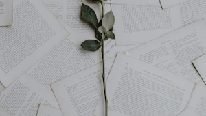 Dating After Divorce: Where to Start